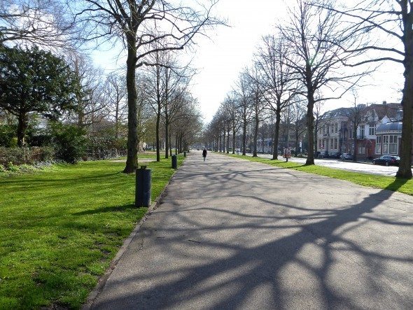 Dreef park Haarlem