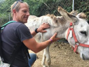 Korfoe ezel corfu donkey rescue center