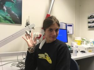 Transplantatie screening Utrecht